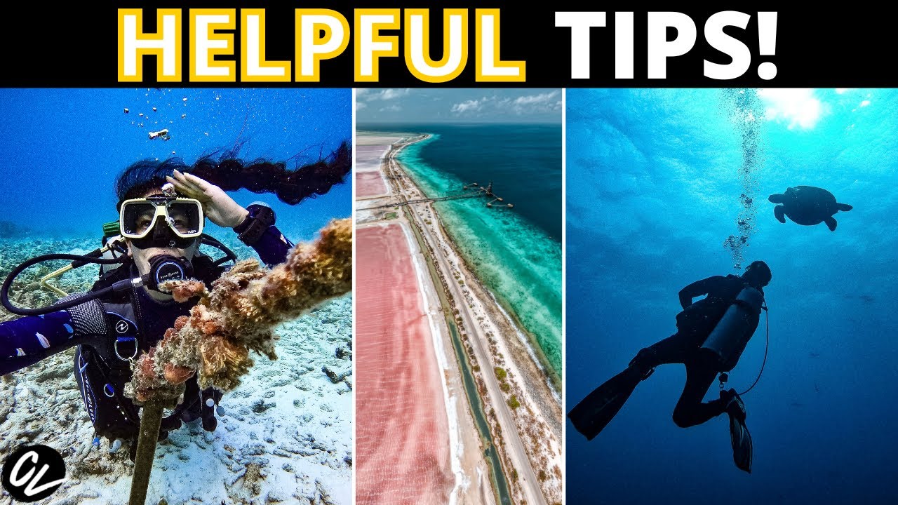 Bonaire scuba diving | What to know!