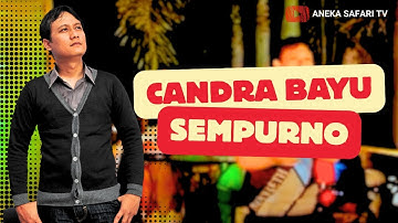 Candra Banyu - Sempurno (Official Music Video)