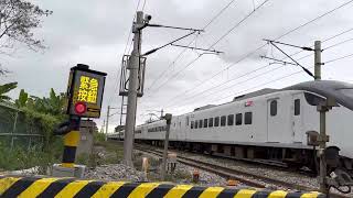 新自強 EMU3000 324次 大樹腳平交道 ［112年2月24日］