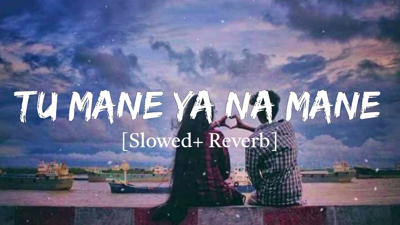 Tu Mane Ya Na Mane Dildara Lofi Song  Rab Maneya Lofi Song  slowed Reverb Remix