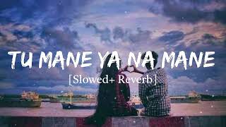 Tu Mane Ya Na Mane Dildara Lofi Song | Rab Maneya Lofi Song | slowed+ Reverb Remix