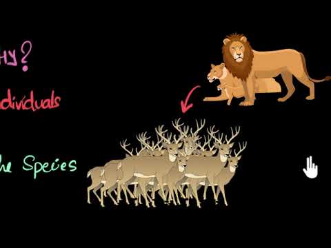 Why reproduction (Intro) | How do organisms reproduce | Biology | Khan Academy