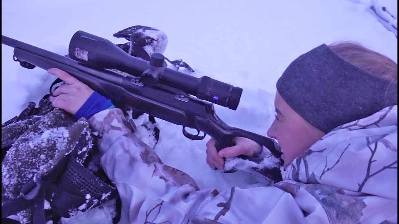 Tormenta de nieve y caza de urogallos en los árboles