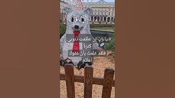 #قرآن #سورة_البقرة #surahalbaqarah #قران_كريم #البقرة #سورة #tilawat #اكسبلور #surahalbaqrah