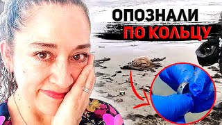 картинка: Снял кожу с лица, чтобы её не опознали || Бланка Арельяно