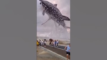 shark mind-blowing blender vfx creation