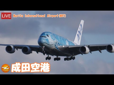 🔴LIVE at NARITA International Airport Plane Spotting 2023.02.04 成田空港ライブカメラ 成田空港 NRT/RJAA