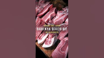 Tradisi Unik Dayak: Babinya Dikebiri?! Ini Alasannya!