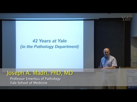 Symposium for Joseph A. Madri - Yale Pathology