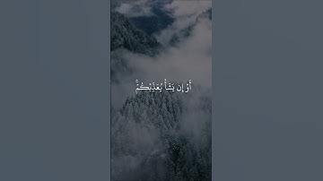 القارئ الشيخ إبراهيم العسيري