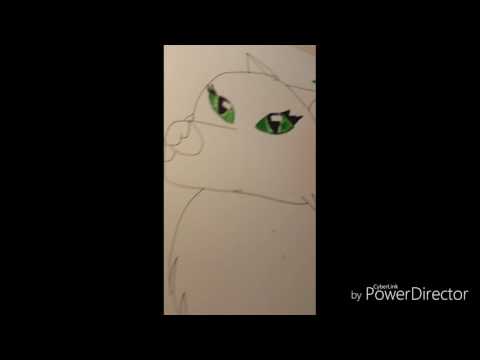Singing swallowing shadows