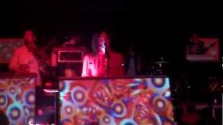 of Montreal - We Will Commit Wolf Murder live @ donaufestival Krems 2012 HD