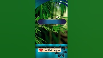 #تلاوة_رائعة #تلاوة_خاشعة #تلاوة_هادئة #تجويد #الغامدي #سعد_الغامدي #مكه #السعودية #الجزائر #مصر