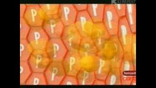 Download lagu KompasTV 0607 Hemaviton Cardio Kuliner 22 44