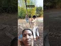 2G Network 🤣🤣#funny #comedy #short #shortfeed #realfoolsteam #surajroxcomedy #vikram#comedy