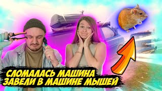 Путешествия на автомобиле в Северный Кавказ. Наше испытание! #vanlife