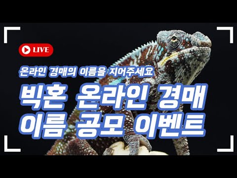 빅혼 온라인 경매 이름 공모 이벤트!! 총 20분에게 상품을 드립니다!!! + 오프라인 경매 강화 소식