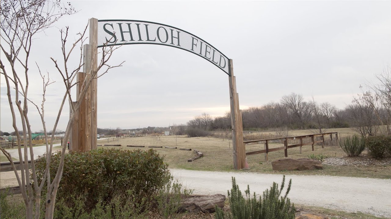 Shiloh Field YouTube