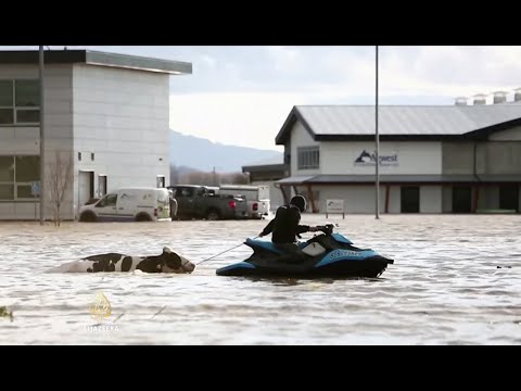 Poplave u Kanadi: Vanredno stanje u Britanskoj Kolumbiji