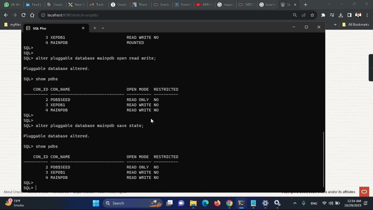ORACLE APEX 23 1 INSTALLATION ORDS INSTALLATION PART 2