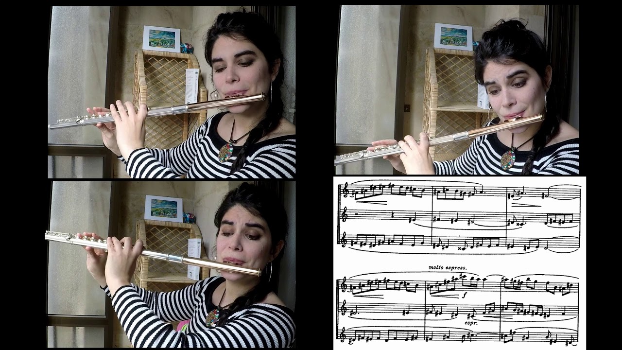 Flûtes Rêveuses J. Castérède (score) YouTube