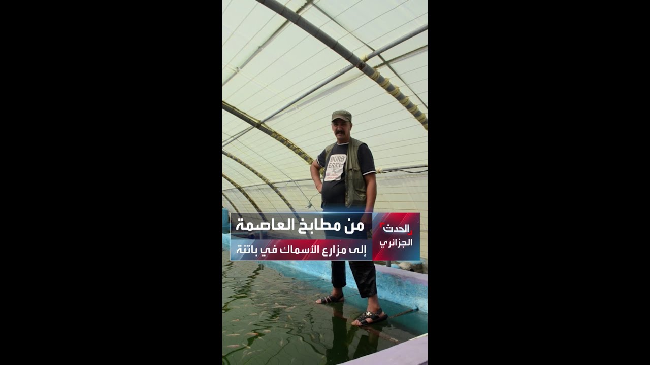 العم مبارك... من مطابخ العاصمة إلى مزارع الأسماك في باتنة