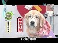 2014.06.16康熙來了完整版　狗狗成名30秒！神犬才藝大賽