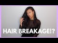 HOW TO STOP HAIR BREAKAGE | Heat Training Hair