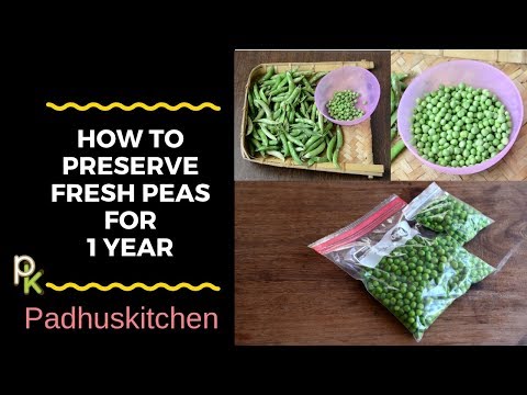 How to Preserve Peas for 1 Year-How to Blanch and Freeze Fresh Peas