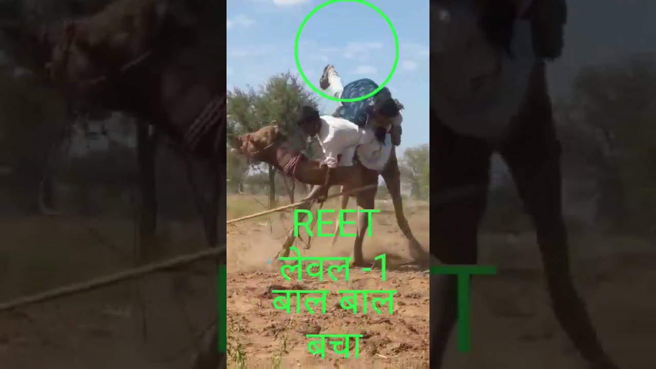 reet funny video status ll funny comedy 😋ll 