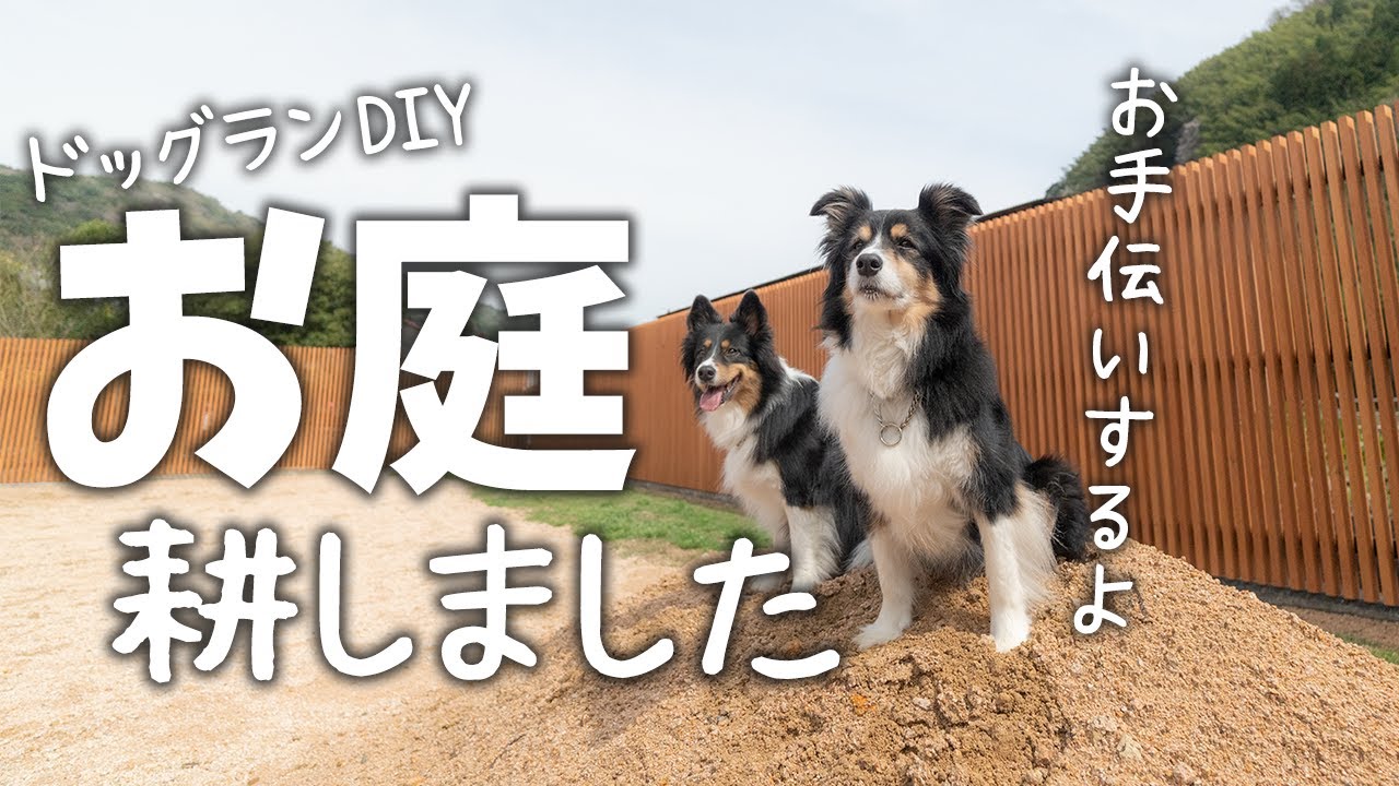 DIY Dog Run in the Garden | Soil Preparation for Planting Grass
