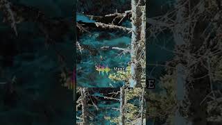 Find our way .. #lyrics #music #alanwalker #edm #remix #shortvideo #shorts