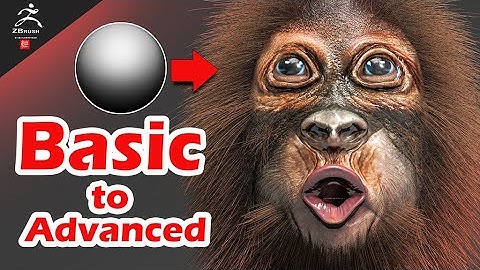 3D Baby monkey Timelapse basic to advanced  - Zbrush Speed Sculpt