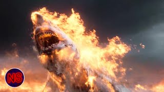 Shark Gets Set On Fire | Shallows | Now Scaring
