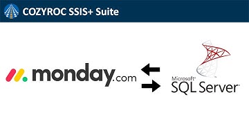 Monday.com ↔️ SQL Server integration. Connection to Monday CRM, Read, Write data to SQL Server.