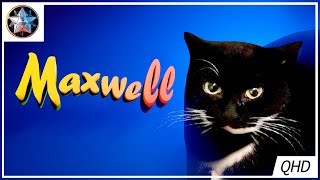 Maxwell - Blender Animation