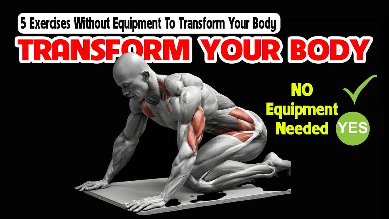 5 Exercises Without Equipment To Transform Your Body (Free Exercises ...