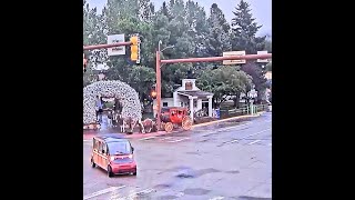Famous Horse accident on @Jackson Hole Wyoming USA Town Square Live Cam Wealth
