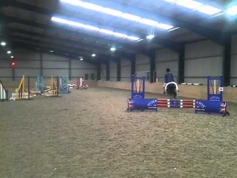 BSJA club - Gypsy cob Show jumping
