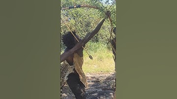 Using handmade bow and arrow from the Age of 5 years #tradition #bushcraft