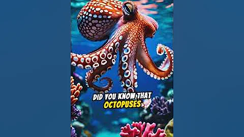 Fascinating Octopus Color Change Mechanism Exposed! #funfacts