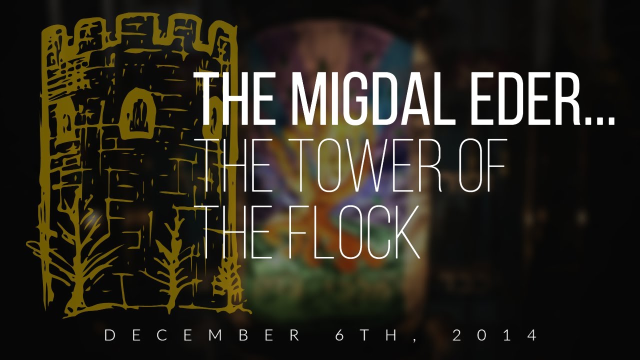 The Migdal Eder...the Tower of The Flock - Full Drash (12/6/2014)