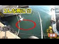 ヘチでマコガレイ【後編】~足元で40cm!~
