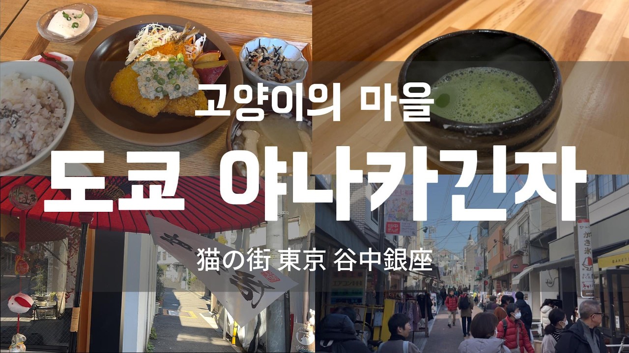 YANAKAGINZA Vlog 야나카긴자 브이로그 / emi’s Vlog [한/일 자막]