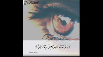 سورة القيامه ( وجوه يومئذ ناضره ) قراءة جميله❤