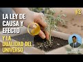 2.1. La Ley universal de CAUSA y EFECTO y la DUALIDAD del universo ☯️ (Ricardo Ayerza)