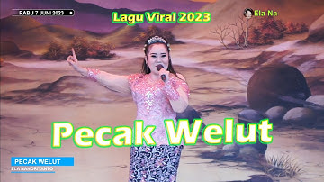 PECAK WELUT - VOC. ELA NANORIYANTO || TEMBANG TERBARU SANDIWARA DWI WARNA || KARANGANYAR - SUKRA