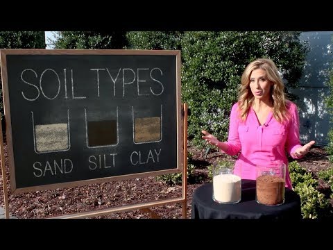 Soil Moisture | Science with Steph