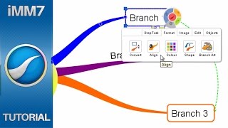 Celebrity Branch Formatting - iMindMap 7 Wealth
