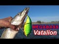 MEGABASS Vatalion.Новый свимбейт и щука.Pike Fishing.